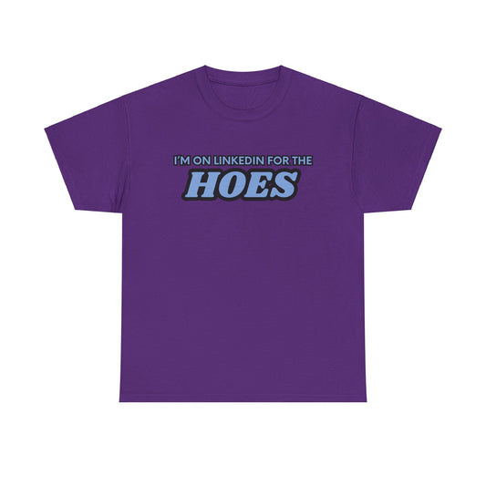 I'm on LinkedIn for the Hoes Graphic Tee